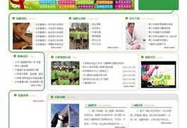 沈陽網站建設與設計 打造專業在線形象，驅動企業數字增長